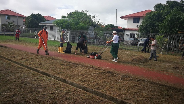 P4.jpg